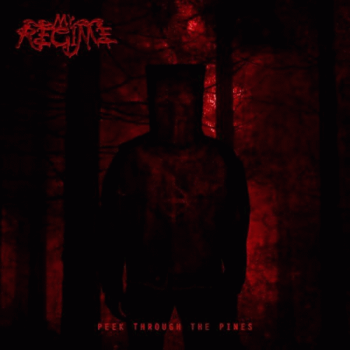 Peek Through the Pines